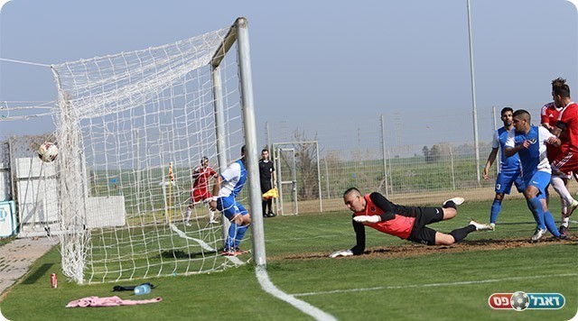 הכדור ברשת (עודד חסין)